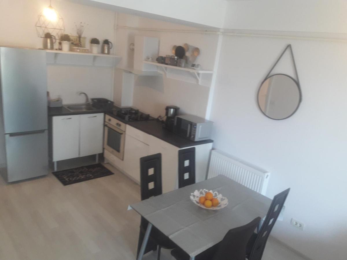 Apartament Amphora Pe Plaja Năvodari Buitenkant foto