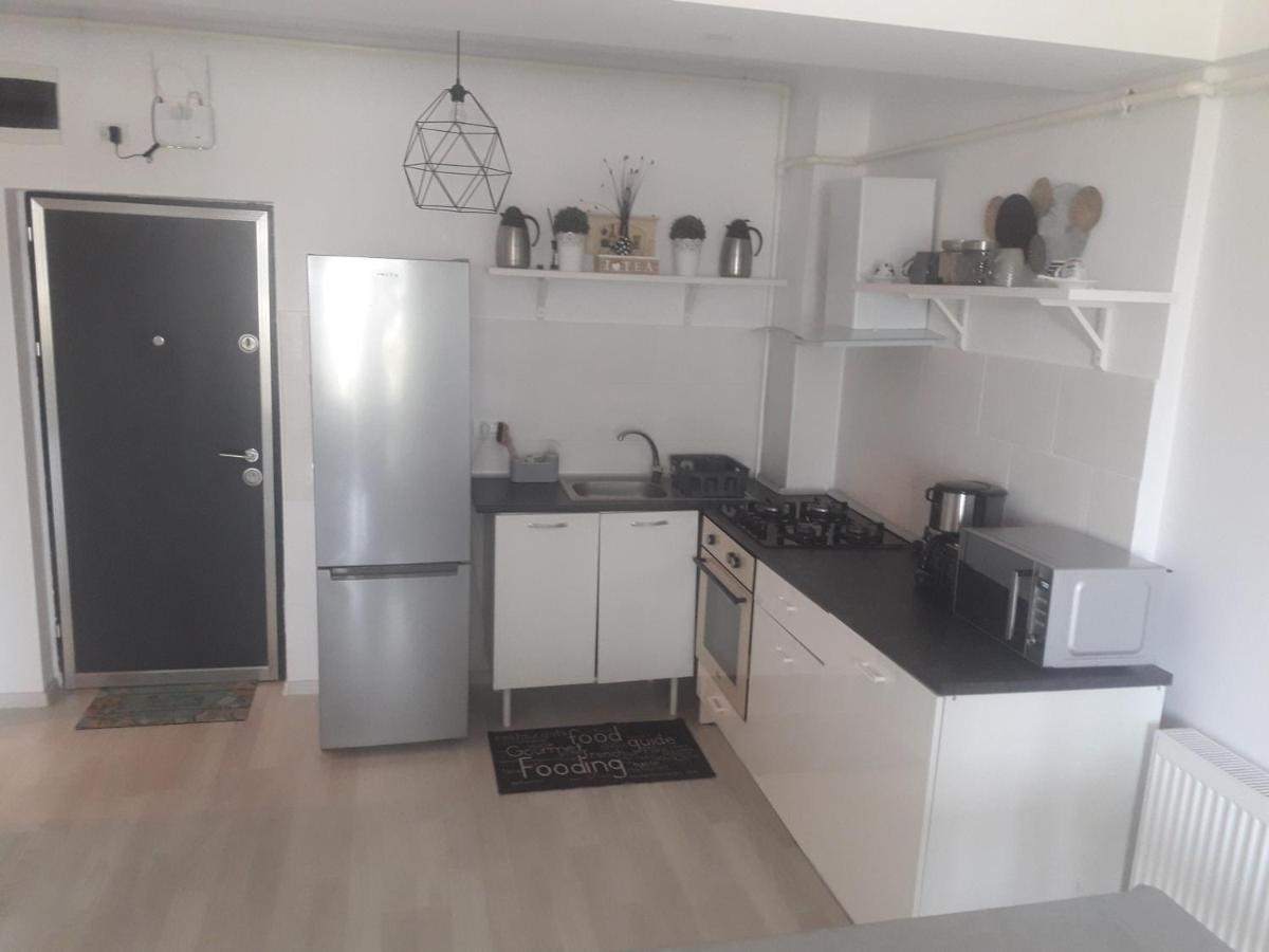 Apartament Amphora Pe Plaja Năvodari Buitenkant foto